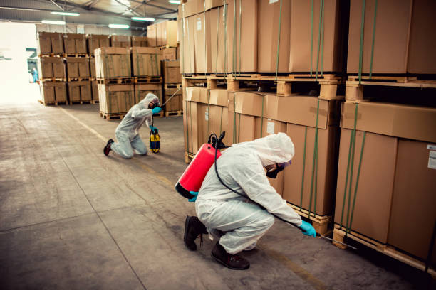 Best Rat Extermination Near Me  in Maple Heights, OH