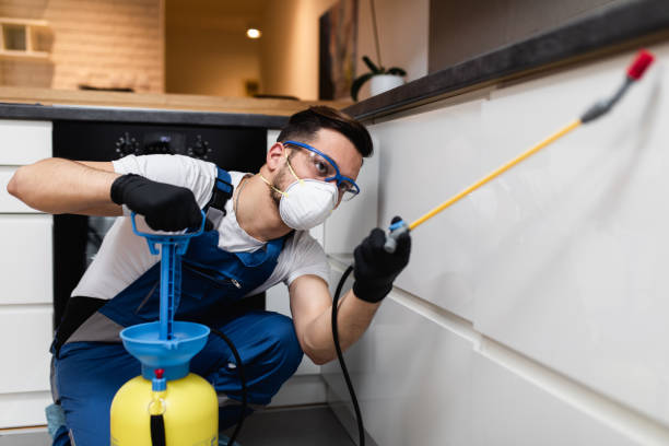 Best Pest Control Near Me  in Maple Heights, OH