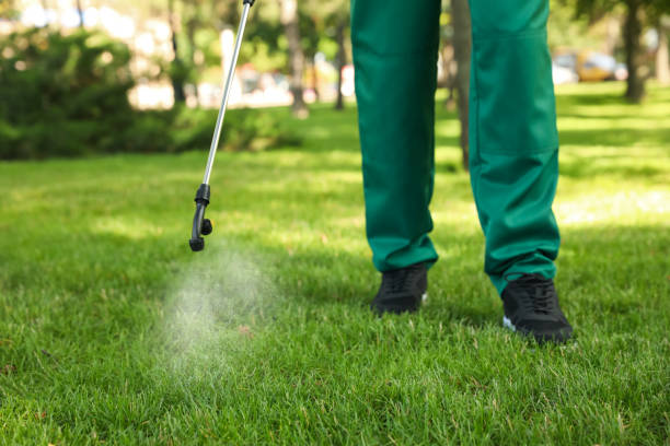 Best Pest Inspection Near Me  in Maple Heights, OH