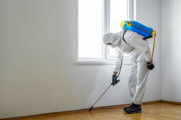 Best Best Pest Control Companies  in Maple Heights, OH