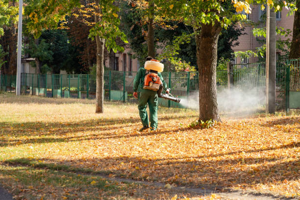 Best Bed Bug Extermination  in Maple Heights, OH